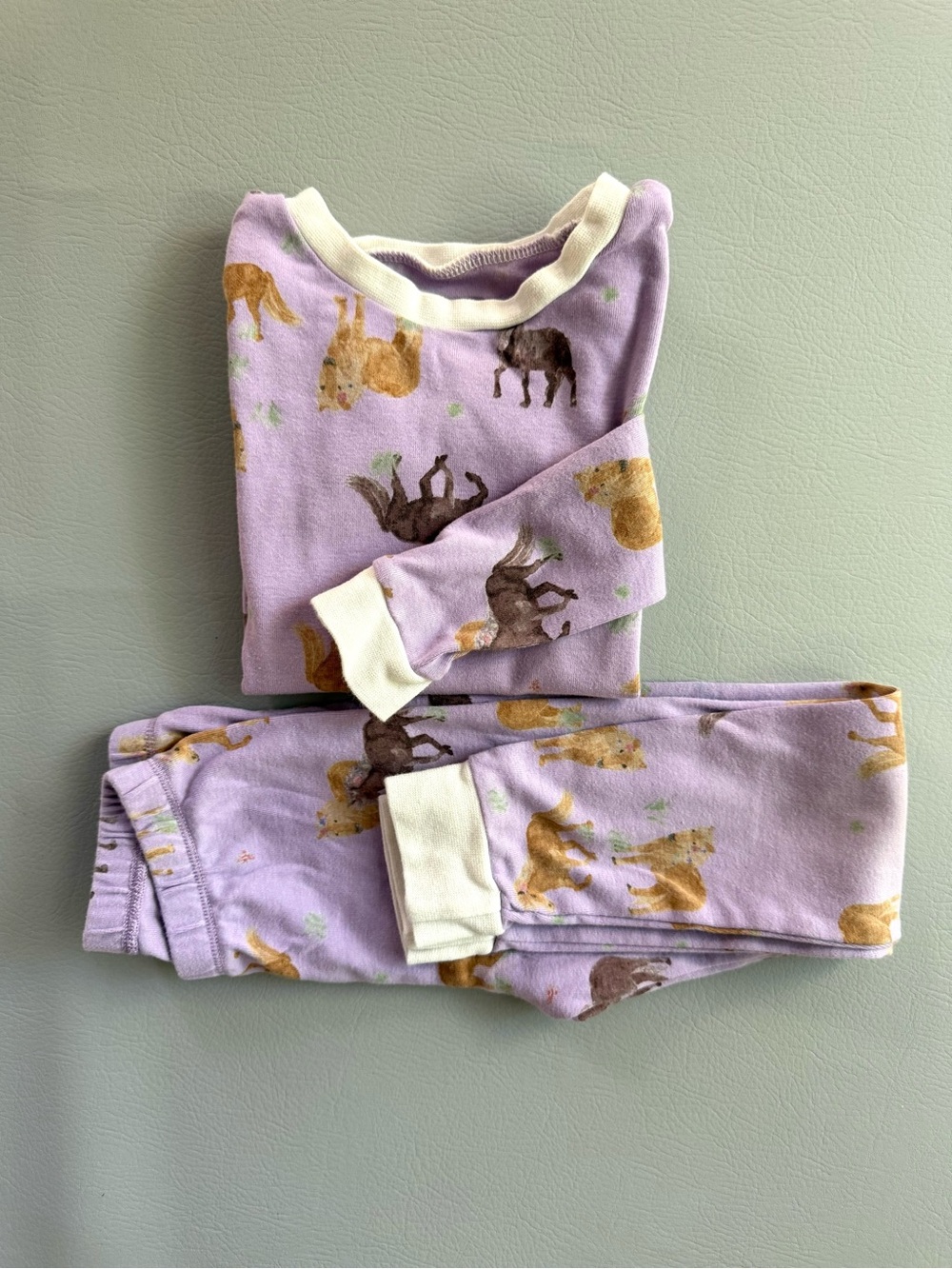 Burt’s Bees Kids Purple Horse Pajamas Set size 4 4T Long Johns